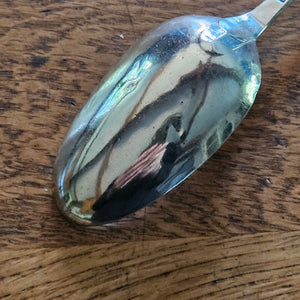 English Sterling Silver Serving Spoon by Samuel Roby Antique Georgian 1815