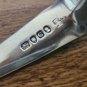 Rampant Lion Heraldic Crest English Sterling Silver Stuffing Spoon by William Eley and William Fearn Antique Georgian