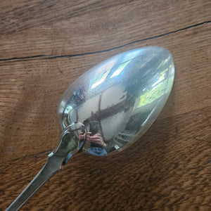 English Sterling Silver Stuffing Spoon by Thomas Wallis (II) & Jonathan Hayne Antique Georgian 1829
