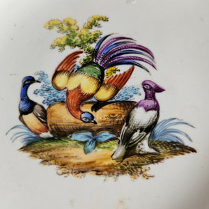 Meissen Porcelain Bird Plate Antique 19th Century