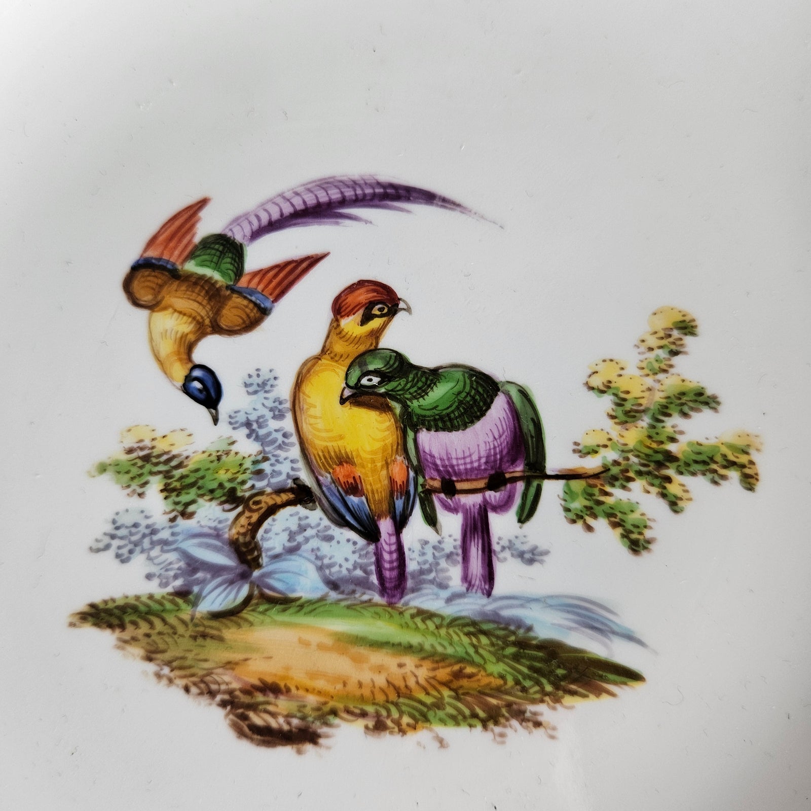 Meissen Porcelain Bird Plate Antique 19th Century