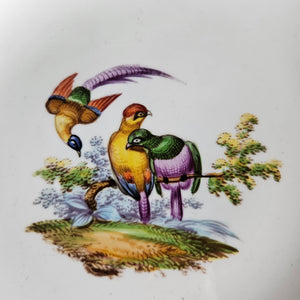 Meissen Porcelain Bird Plate Antique 19th Century