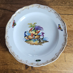 Meissen Porcelain Bird Plate Antique 19th Century