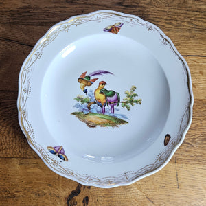 Meissen Porcelain Bird Plate Antique 19th Century