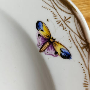 Meissen Porcelain Bird Plate Antique 19th Century
