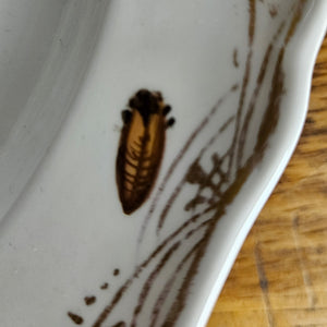 Meissen Porcelain Bird Plate Antique 19th Century