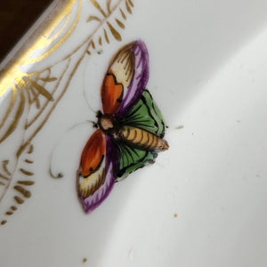 Meissen Porcelain Bird Plate Antique 19th Century