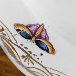 Meissen Porcelain Bird Plate Antique 19th Century