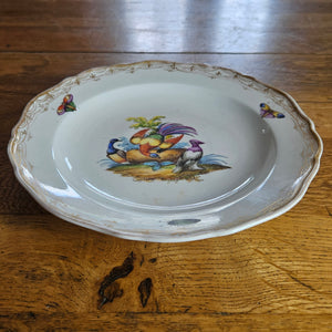 Meissen Porcelain Bird Plate Antique 19th Century