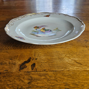 Meissen Porcelain Bird Plate Antique 19th Century