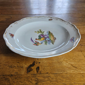 Meissen Porcelain Bird Plate Antique 19th Century
