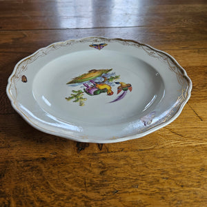 Meissen Porcelain Bird Plate Antique 19th Century