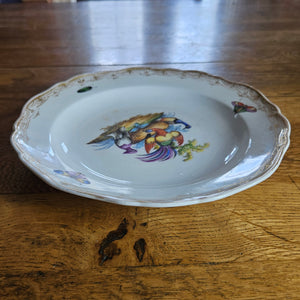Meissen Porcelain Bird Plate Antique 19th Century