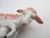 Pair of Samson of Paris Ceramic Sheep Figures Antique Georgian c1900