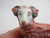 Pair of Samson of Paris Ceramic Sheep Figures Antique Georgian c1900