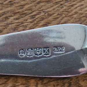 Scottish Sterling Silver Serving Spoon by Andrew Wilkie Antique Georgian 1829