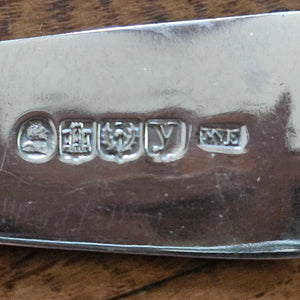 Scottish Sterling Silver Serving Spoon by William Robertson Edmonstoun Antique Georgian 1830