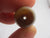 Banded Agate Bead Pendant Antique Georgian c1820