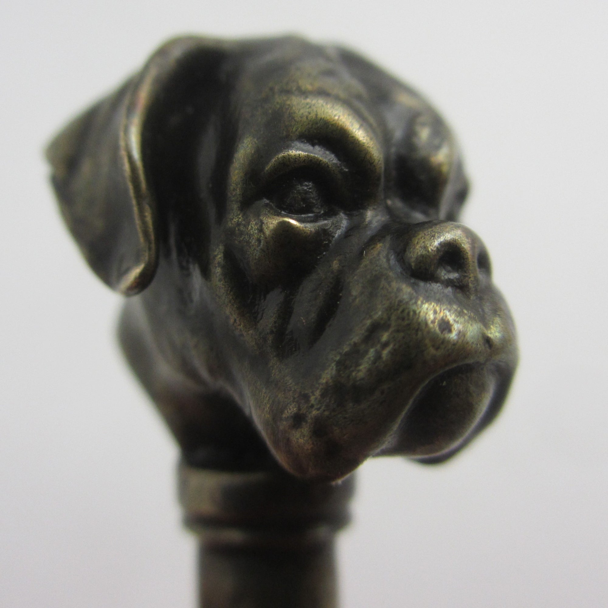 English Boxer Dog Bronze Seal Antique Victorian c1890