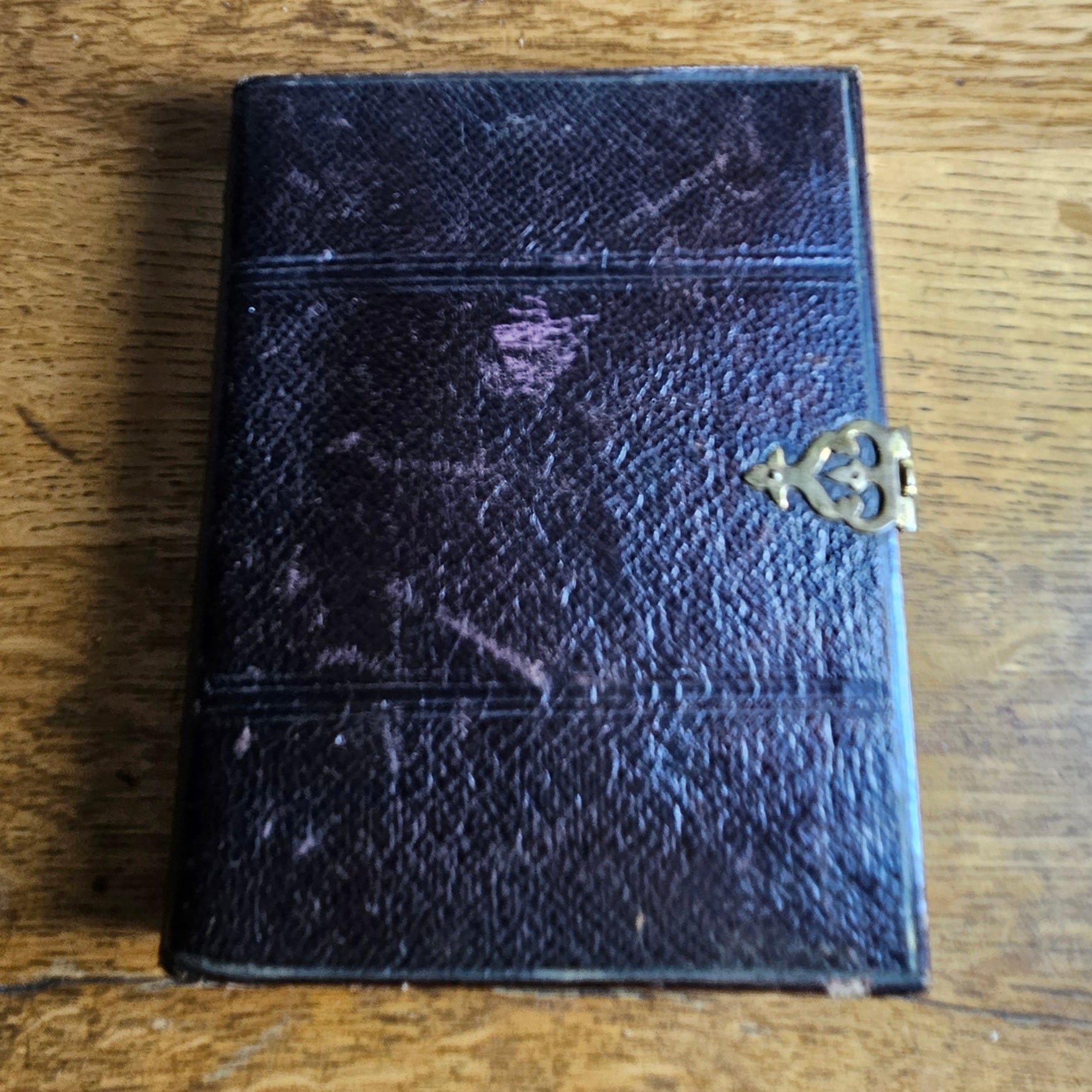 Early Cased Daguerrotype Photograph Photo of a Lady Antique Victorian c1860