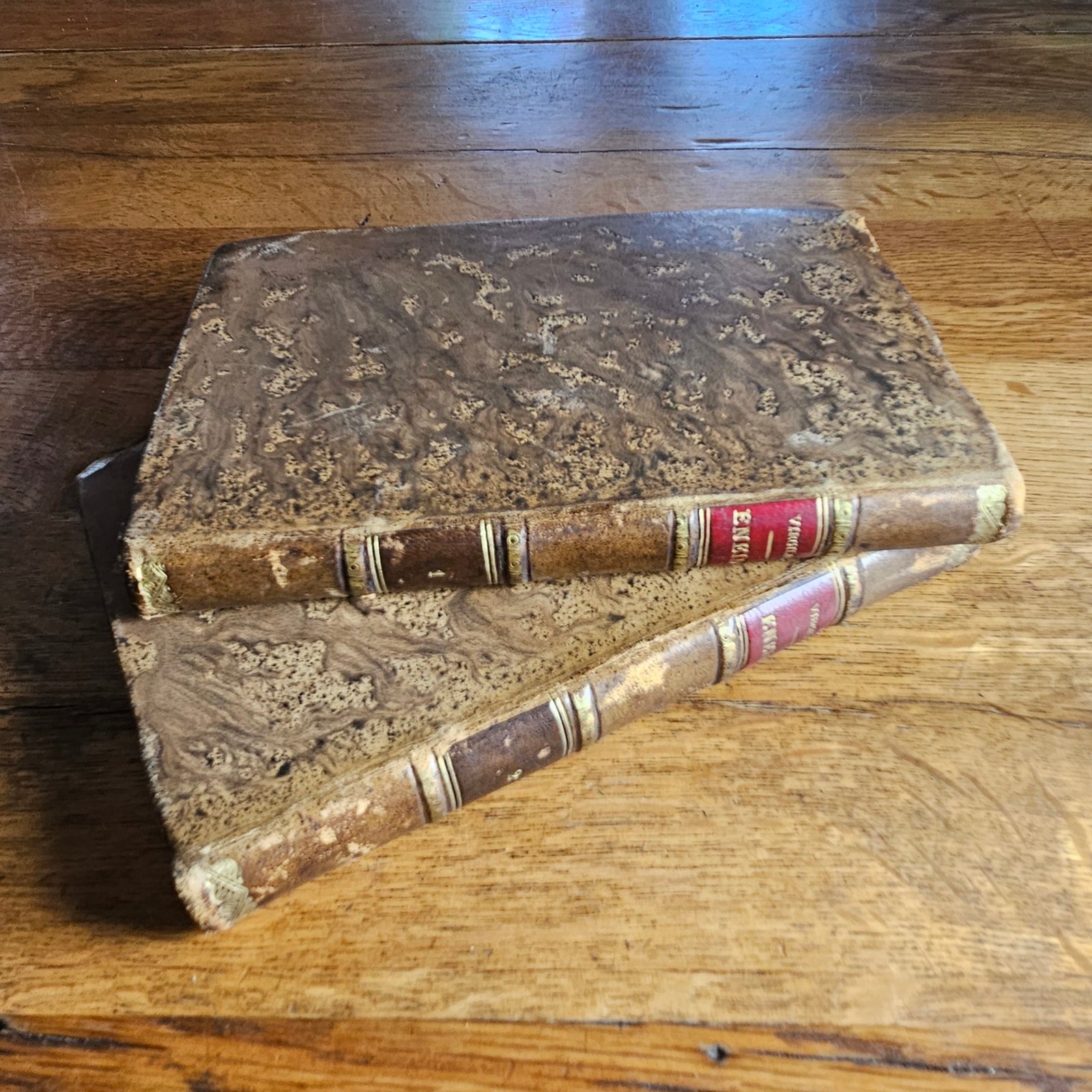 Pair of Spanish Hardback Books "Enrida" Volume 1 & 2 Antique Victorian c1890