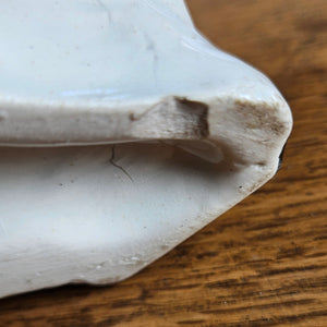 Pair of Staffordshire Pottery Dogs Antique Victorian c1860