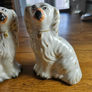 Pair of Staffordshire Pottery Dogs Antique Victorian c1860