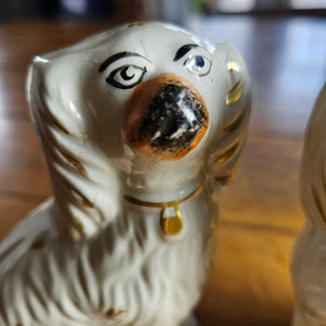 Pair of Staffordshire Pottery Dogs Antique Victorian c1860