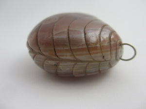 Huge Chinese Banded Agate Scallop Shell Pendant Antique c1840