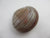 Huge Chinese Banded Agate Scallop Shell Pendant Antique c1840