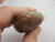 Huge Chinese Banded Agate Scallop Shell Pendant Antique c1840