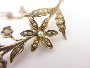 Seed Pearl in 9k Gold Flower Brooch Pin Antique Victorian c1880