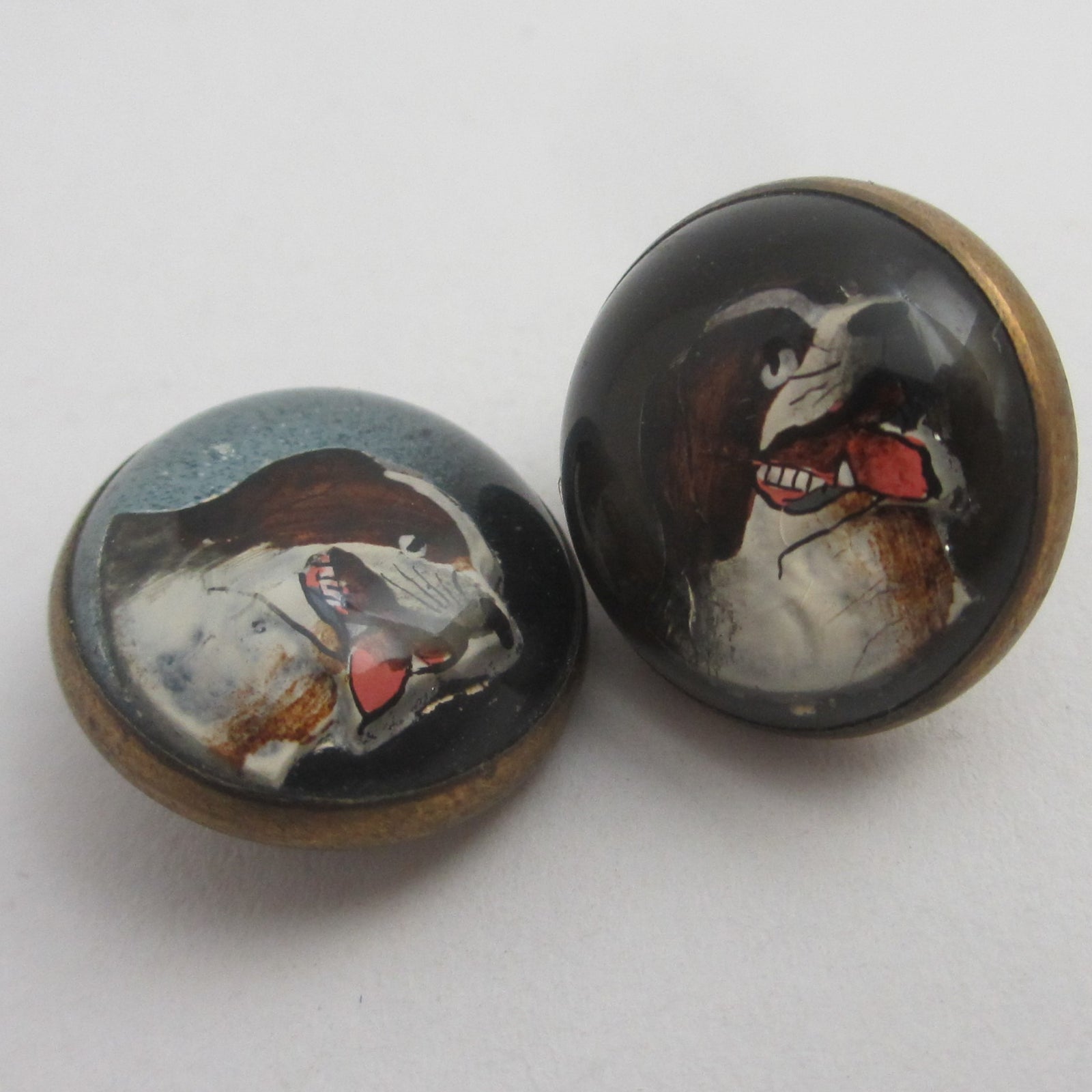 Spaniel Dog Essex Crystal Reverse Painted Intaglio Pair of Brass Buttons Antique Edwardian