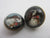 Spaniel Dog Essex Crystal Reverse Painted Intaglio Pair of Brass Buttons Antique Edwardian