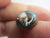 Spaniel Dog Essex Crystal Reverse Painted Intaglio Pair of Brass Buttons Antique Edwardian