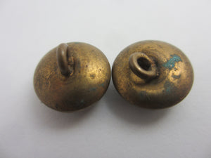 Spaniel Dog Essex Crystal Reverse Painted Intaglio Pair of Brass Buttons Antique Edwardian