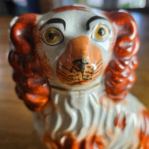 Staffordshire Iron Red Cavalier King Charles Spaniel Pottery Dog Curly Coat Antique Victorian c1860