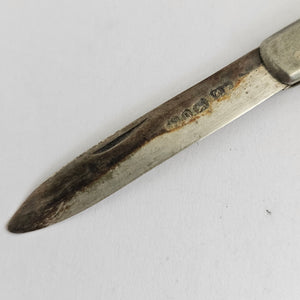 Mother of Pearl and Sterling Silver Fruit Knife Antique Victorian 1888
