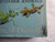 1st Edition "My Family and Other Animal" by Gerald Durrell Vintage Book 1956