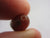 Carnelian Stone Bead Pendant Vintage Art Deco c1920