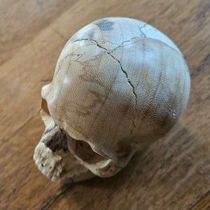 Contemporary Carved Wood and Antler Skull Moving Jaw Vintage