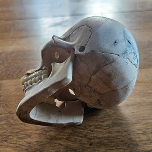 Contemporary Carved Wood and Antler Skull Moving Jaw Vintage