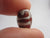 Dzi Bead Pendant Vintage Art Deco c1920