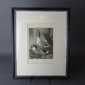 Canada Geese Framed Lithograph Vintage Mid 20th Century.