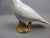 Chinese Cermaic Dove Bird Sculpture Antique Victorian c1890