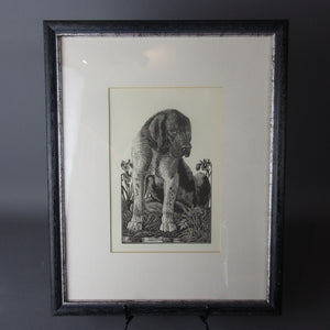 Hound Dog Framed Lithograph Vintage Mid 20th Century