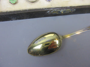 Set Of Sterling Silver Gilt & Colourful Enamel Spoons Antique Birmingham 1913